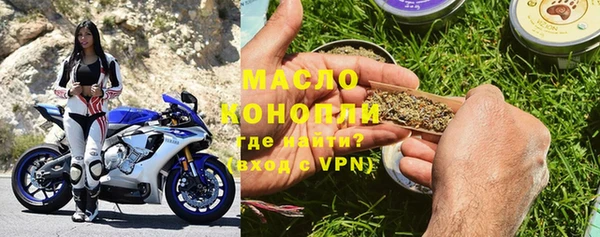 хмурый Аркадак