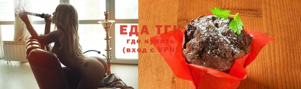хмурый Аркадак