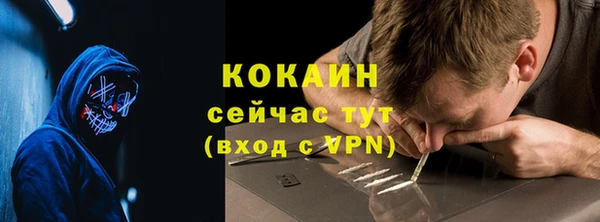хмурый Аркадак