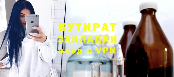 хмурый Аркадак
