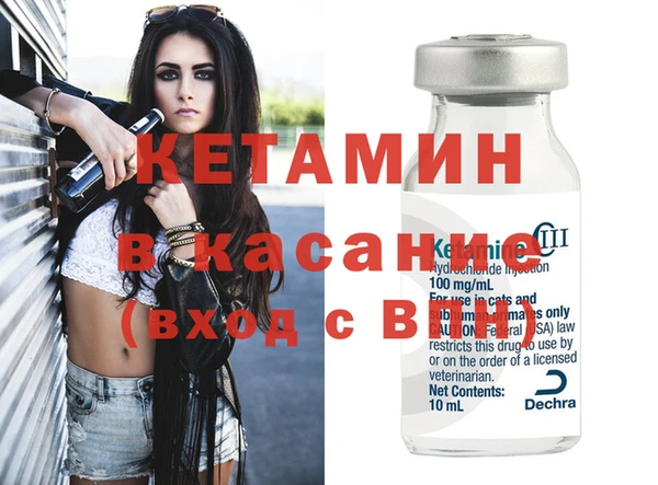 хмурый Аркадак