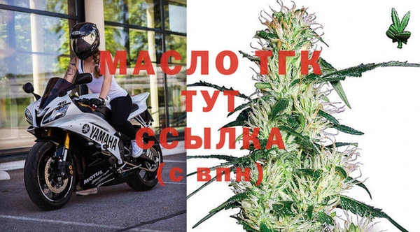 хмурый Аркадак