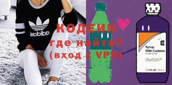 хмурый Аркадак