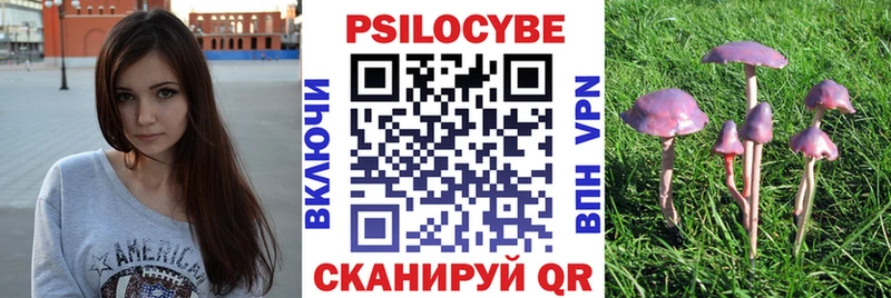 Галлюциногенные грибы Psilocybe  Чудово 